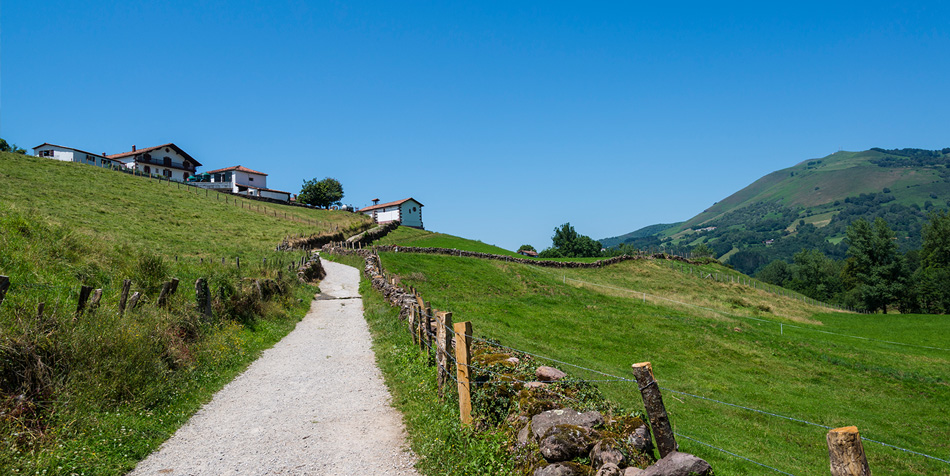 energias renovables en navarra: estufas de pellets