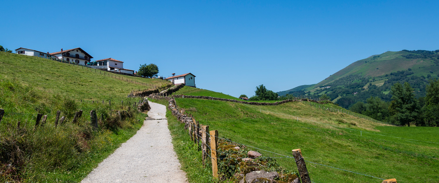 energias renovables en navarra: estufas de pellets para viviendas